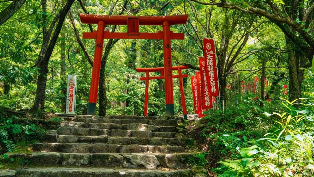 A traditional Japanese torii gate in a lush forest, surrounded by stone steps and red banners with Chinese characters. 5