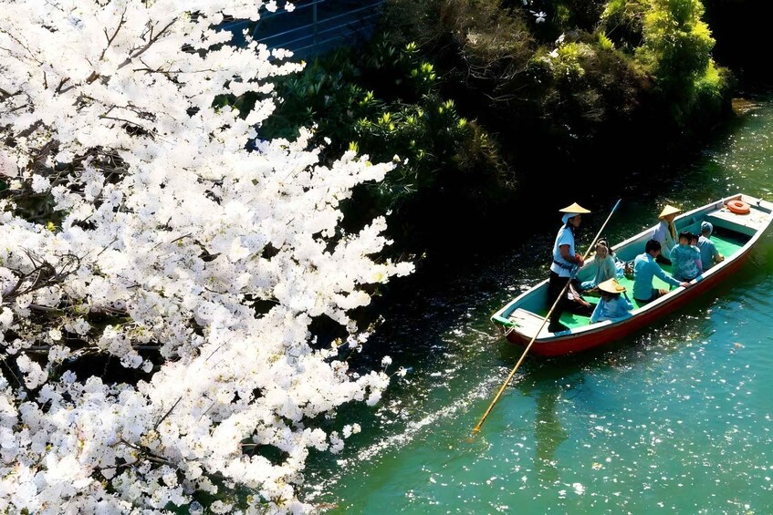 A boat with passengers on a river surrounded by cherry blossoms. 1