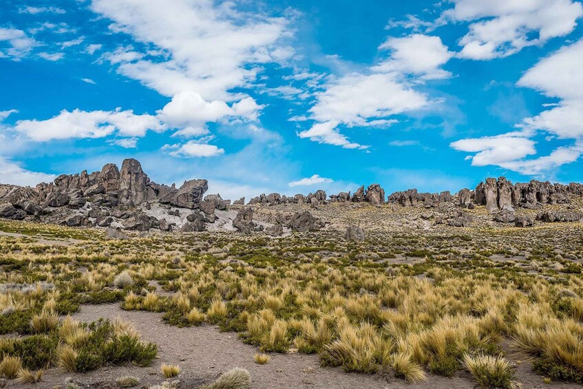 A rocky desert landscape with sparse vegetation and a clear blue sky. 3