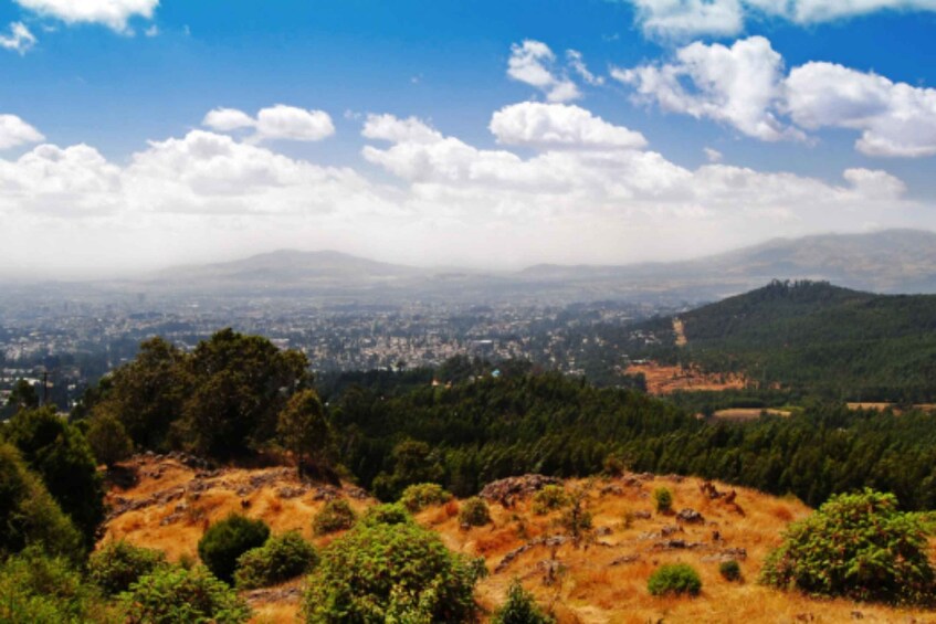 A mountainous landscape with a city in the distance, dense forests, and a clear sky. 4