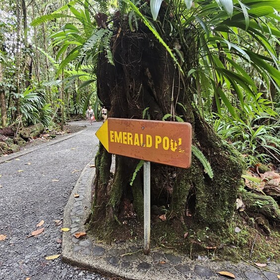 A signpost with 'Emerald Point' written on it, surrounded by lush greenery and a gravel path. 5