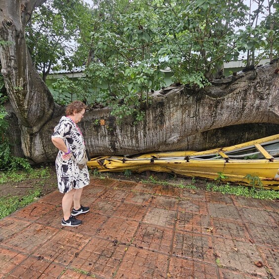 A person standing next to a large tree and a yellow boat on a brick pavement. 4