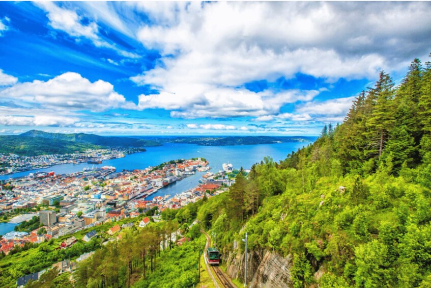 A coastal town with a train track, dense greenery, and a body of water. 5