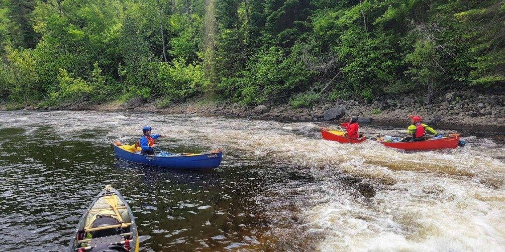 Three kayaks navigating a river with rapids, surrounded by dense forest. 1