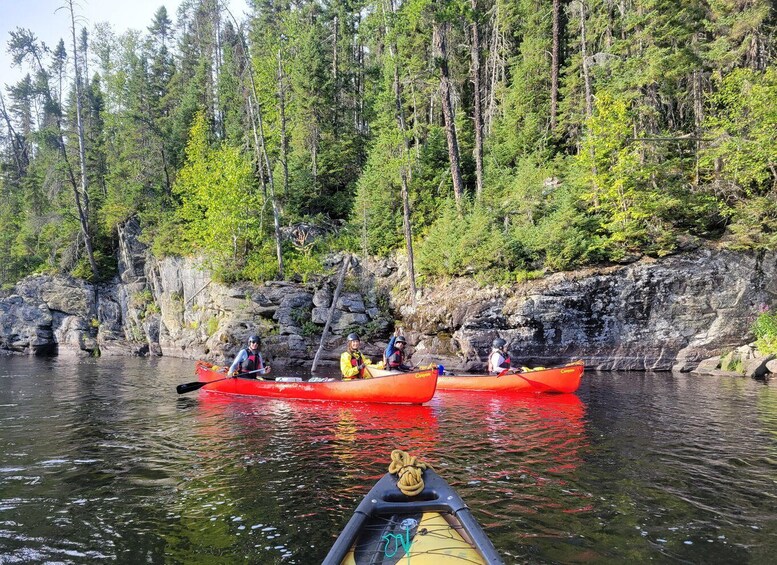 A group of people kayaking on a river surrounded by dense forest. 5