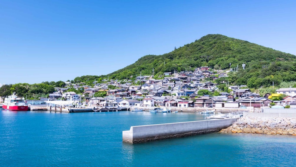 A coastal town with a hillside, boats docked at the pier, and a clear blue sky. 1