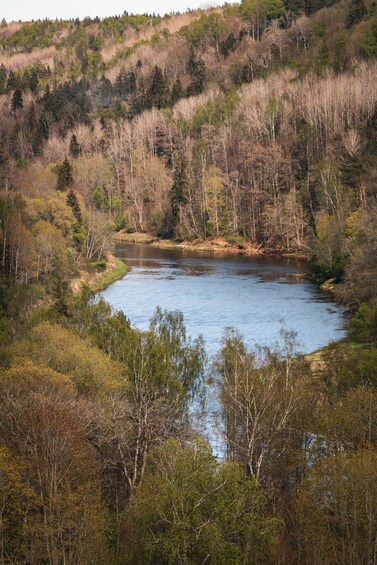 A river winding through a forested hillside. 3