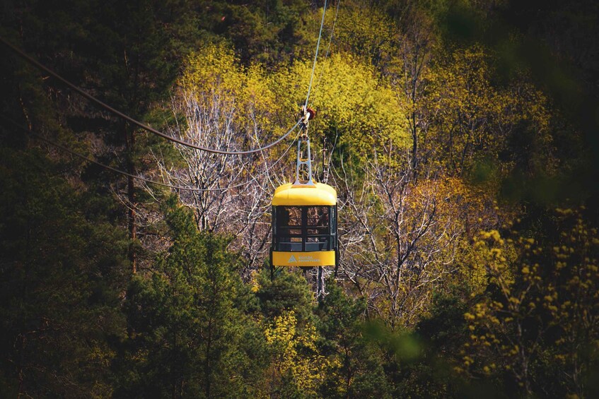 A yellow cable car suspended by cables amidst a forested area with autumn-colored trees. 1