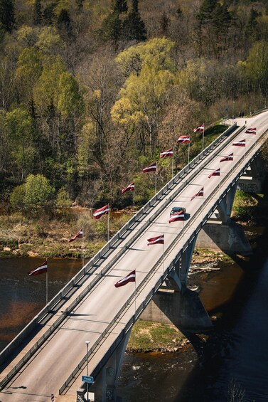 A bridge with flags, a river, and trees. 2