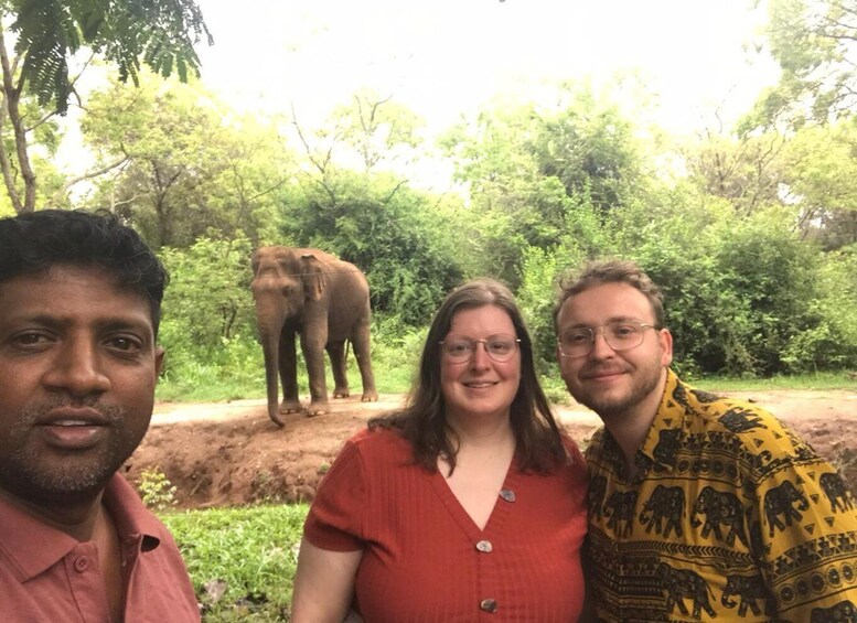Three people standing in a forested area with an elephant in the background. 2