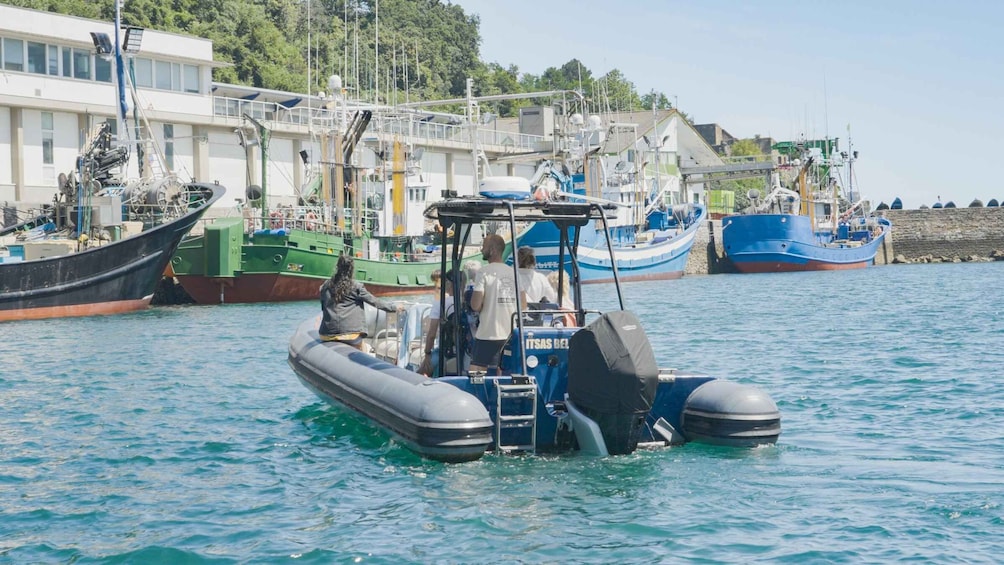 Picture 8 for Activity Bay of Saint-Jean-de-Luz: Sea excursions from the bay to Hondarribia 3