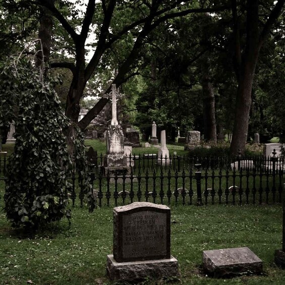 A cemetery with gravestones, a central monument, and a tree in the foreground. 3