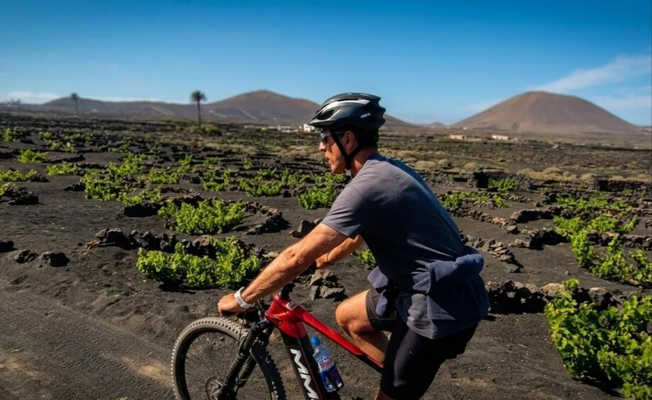 Epic E-Bike Sightseeing Tour: From North to South, Discover Lanzarote Like Never Before 1