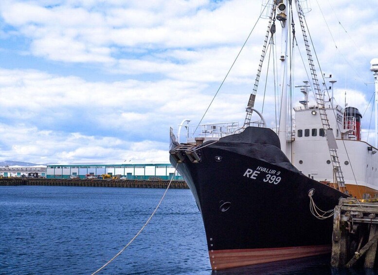 A large ship docked at a pier with a bridge in the background. 2