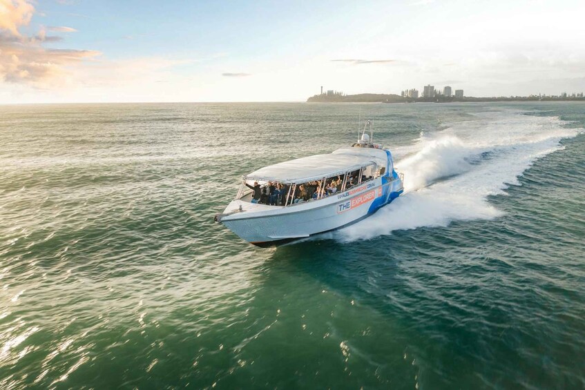 A speedboat with 'THE EXPERT' written on its side, moving across a body of water with a city skyline in the background. 3