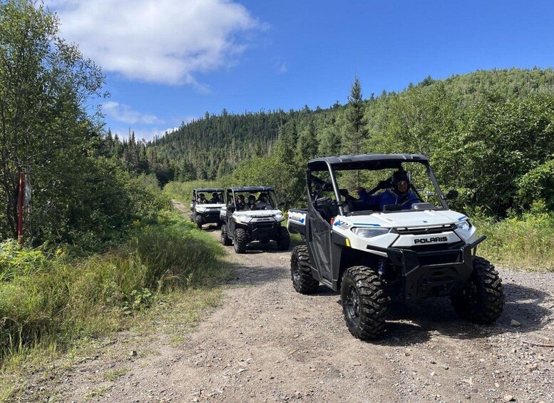 Three off-road vehicles on a dirt path surrounded by dense forest. 4