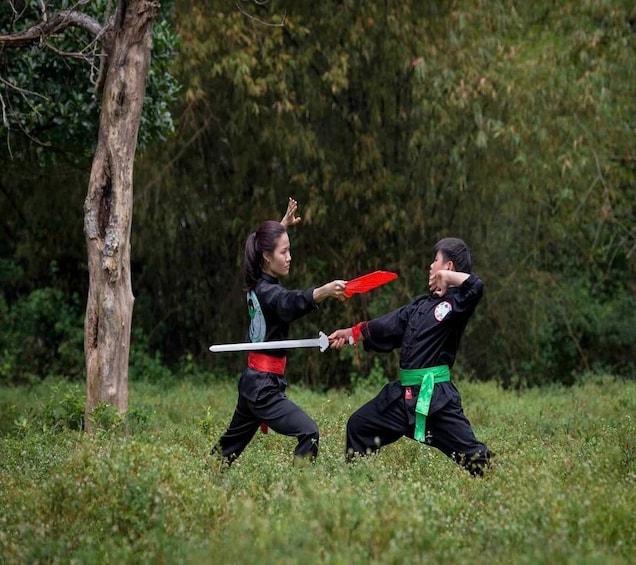 Two individuals practicing martial arts in a grassy outdoor setting. 5