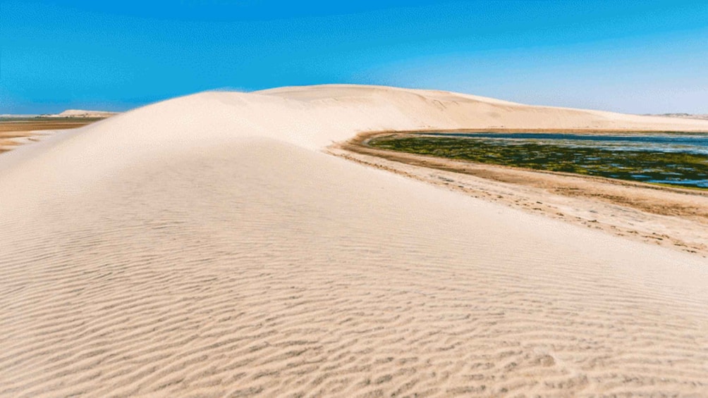 A sandy dune landscape with a body of water and sparse vegetation. 4