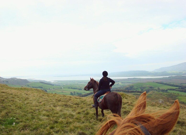 A person riding a horse on a grassy hill overlooking a valley with a body of water in the distance. 5