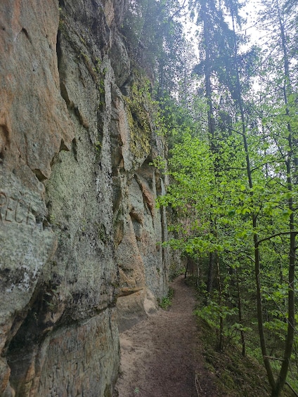 A forested trail with a rocky cliff and a dirt path. 2