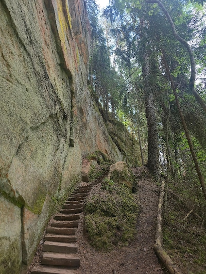 A stone staircase leading up a moss-covered rock wall in a forest. 1