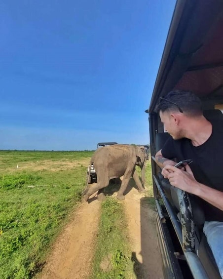 A man in a vehicle observing an elephant walking on a dirt path. 2