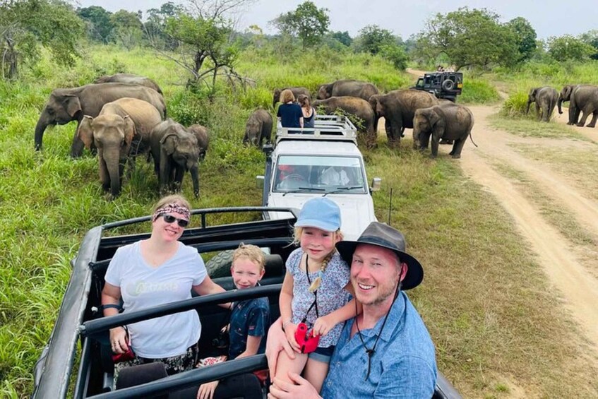 A safari vehicle with people observing elephants in a natural setting. 3