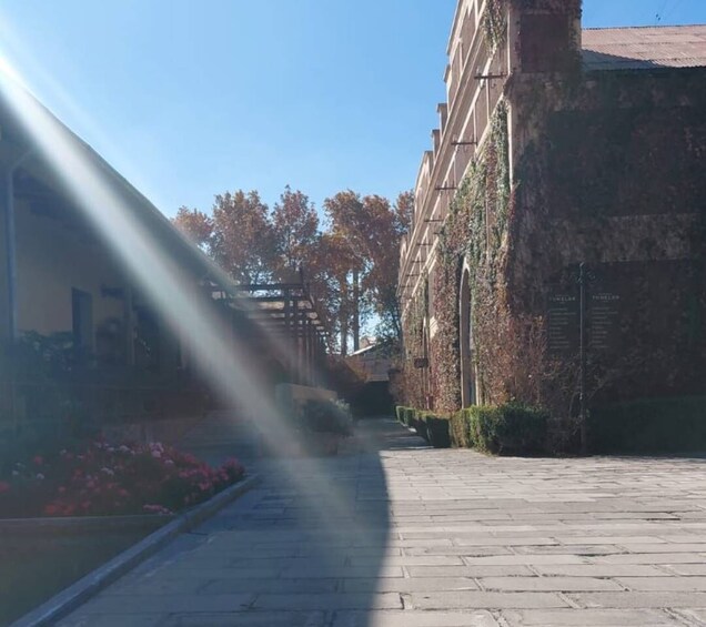 A paved pathway with a building on the right and trees in the background. 2