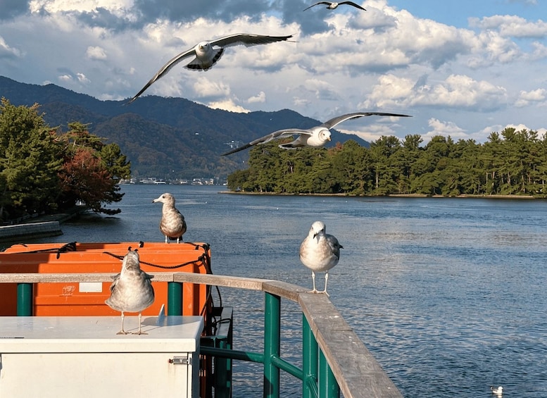 Picture 40 for Activity Kyoto/Osaka: Amanohashidate & Ine Funaya & Miyama Day Tour 5