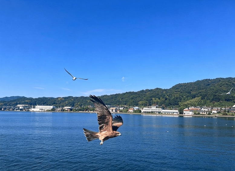 Picture 42 for Activity Kyoto/Osaka: Amanohashidate & Ine Funaya & Miyama Day Tour 3