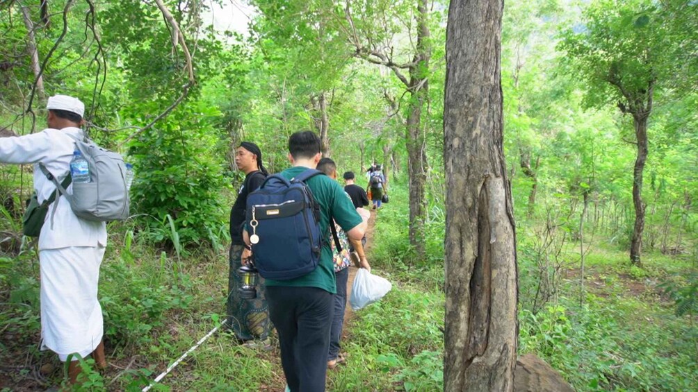 A group of hikers walking through a dense forest with tall trees and underbrush. 2