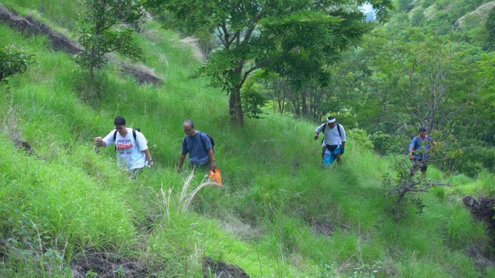 Four people hiking through a grassy area with trees. 3