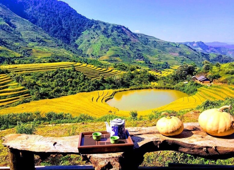 Terraced rice fields, a small pond, and pumpkins on a wooden table. 1