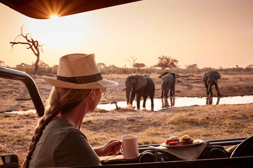 A person in a safari vehicle with a hat, observing elephants by a waterhole during sunset. 3