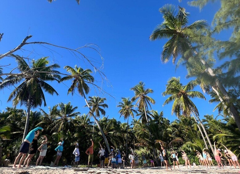 A group of people on a beach with palm trees and a clear blue sky. 3