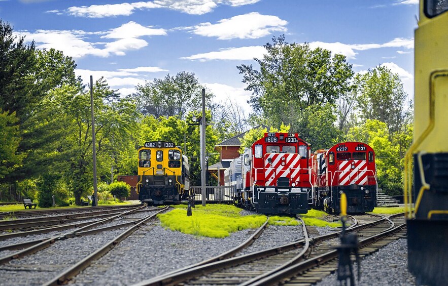 Three trains on parallel tracks in a rural setting with greenery and a clear sky. 2