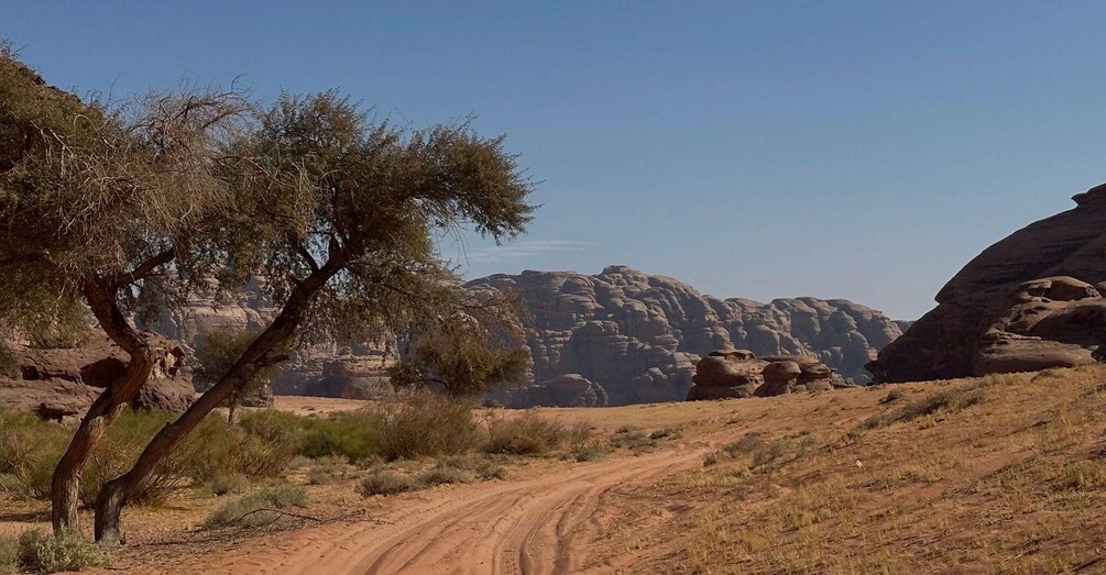 A dirt road winding through a desert landscape with sparse vegetation and rocky outcrops. 3