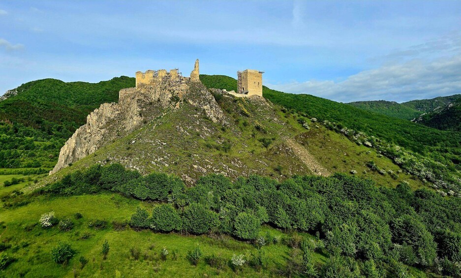 A castle on a hill with lush greenery. 2