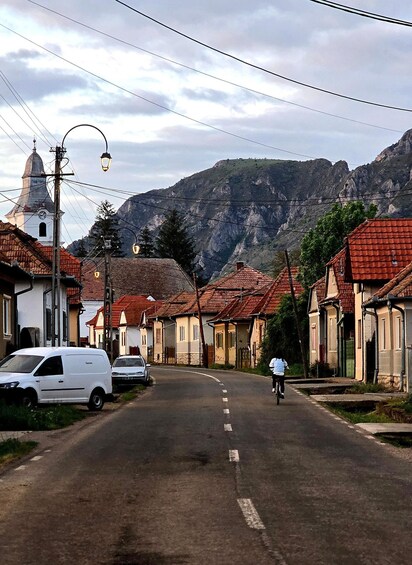 A quiet street with red-tiled houses, a white van, and a cyclist. 5