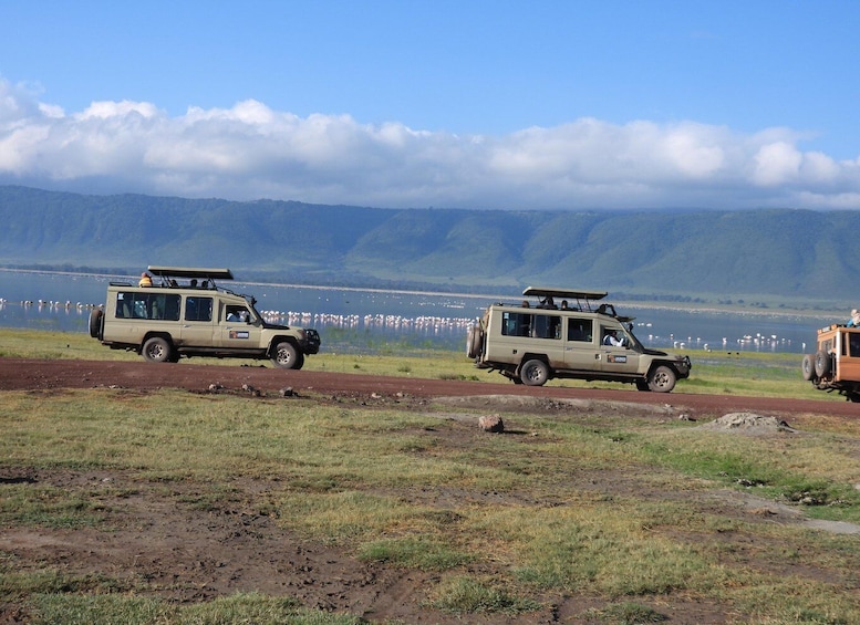 6 Days Tanzania Safari Adventure Journey Through the Wild 1