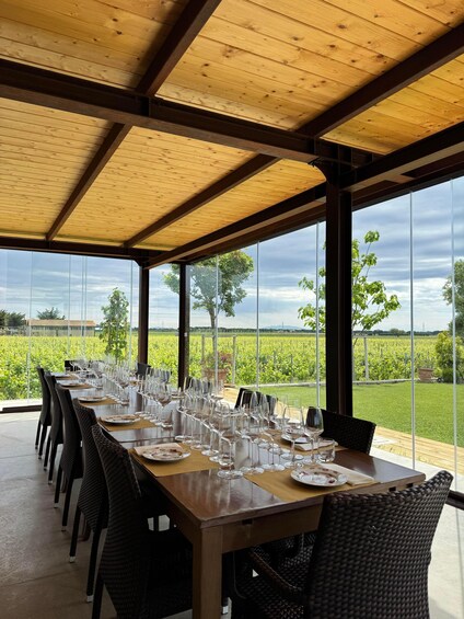 A long dining table set for a meal with a vineyard view. 2