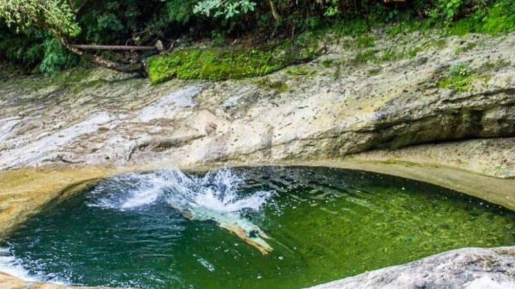 A natural pool with clear water surrounded by rocks and greenery. 3
