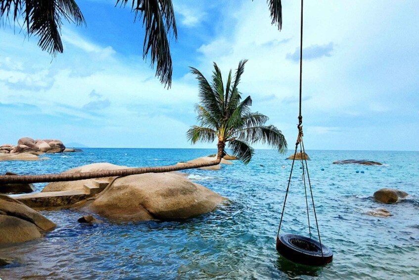 A clear blue sea with rocks, a palm tree, and a tire swing. 4