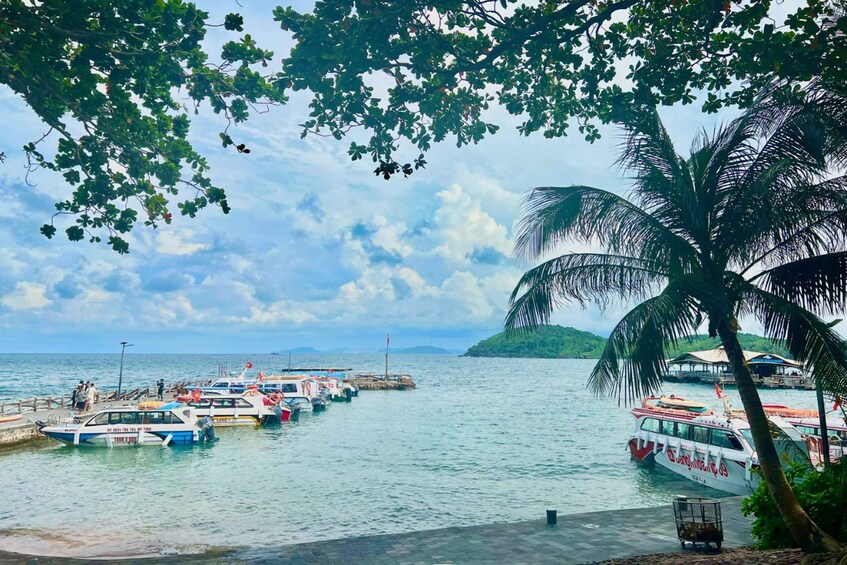 A marina with boats docked, a palm tree, and a mountainous island in the background. 3