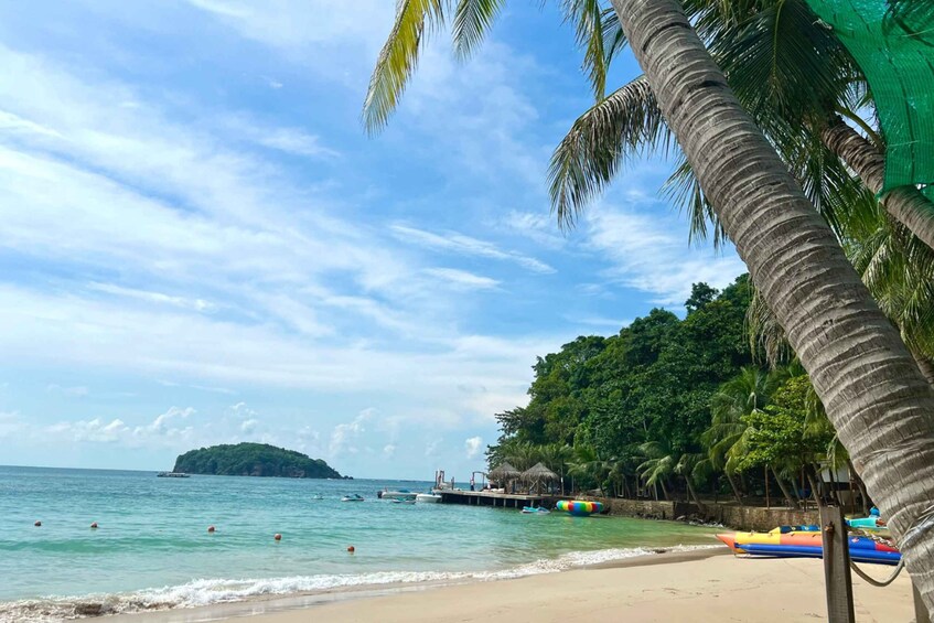A beach with palm trees, a pier, and boats. 5