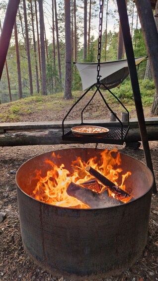A campfire with logs burning in a metal pot, surrounded by a forest. 4
