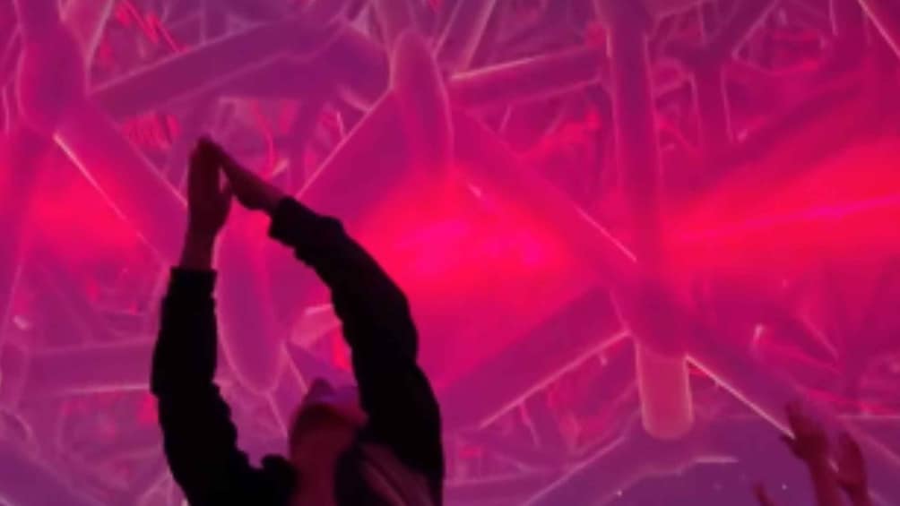 A person with arms raised against a pink, abstract background. 5