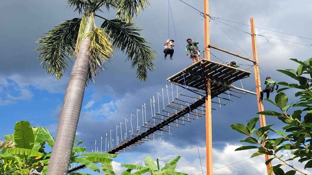 A zip line with two people suspended, surrounded by palm trees and a clear sky. 3