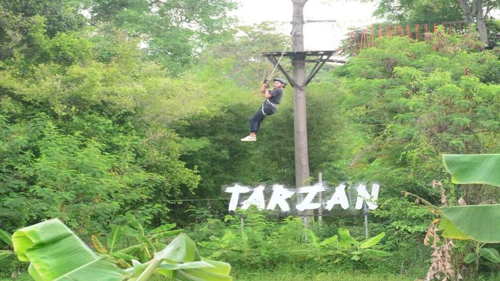 A person zip-lining through a forested area with a sign reading 'TARZAN' in the foreground. 4