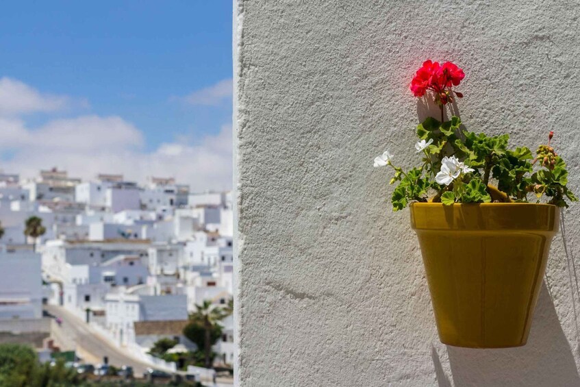 A potted plant with red and white flowers on a balcony overlooking a coastal town with white buildings. 2